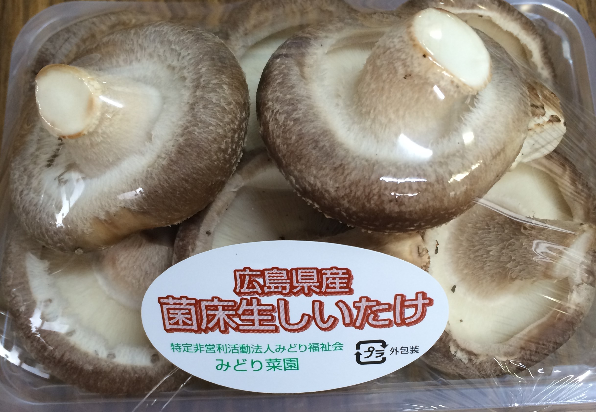 出荷するしいたけ