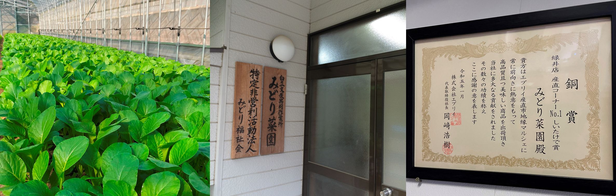 トップページバナー